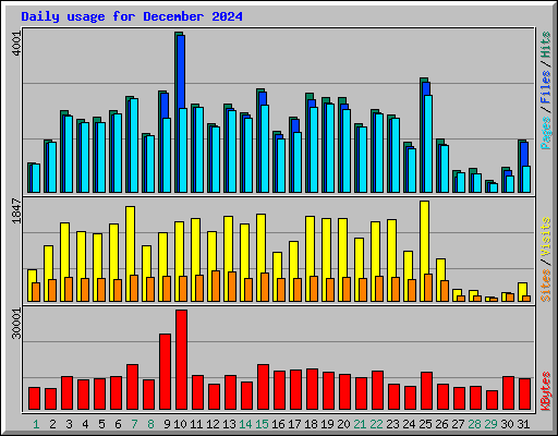 Daily usage for December 2024