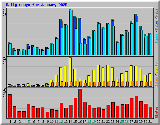 Daily usage for January 2025