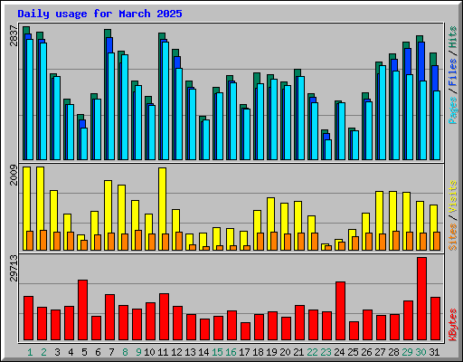 Daily usage for March 2025