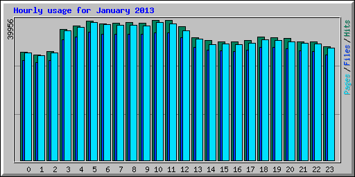 Hourly usage for January 2013
