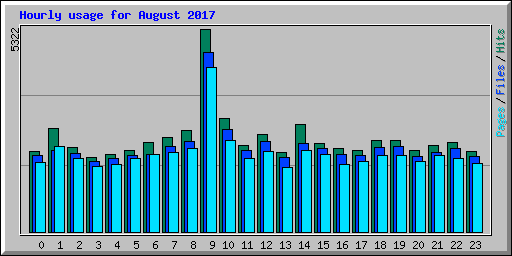 Hourly usage for August 2017