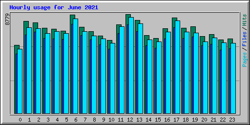 Hourly usage for June 2021