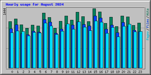 Hourly usage for August 2024