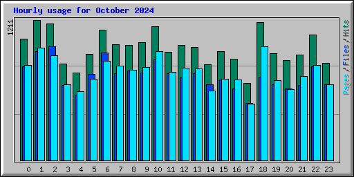 Hourly usage for October 2024