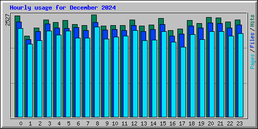 Hourly usage for December 2024