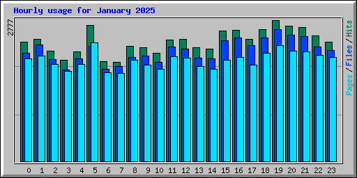 Hourly usage for January 2025