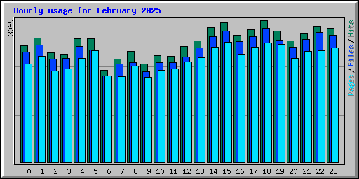 Hourly usage for February 2025