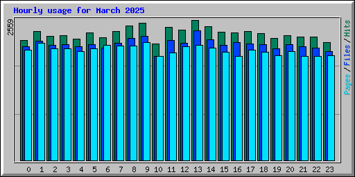 Hourly usage for March 2025