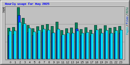 Hourly usage for May 2025