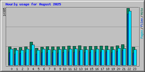 Hourly usage for August 2025