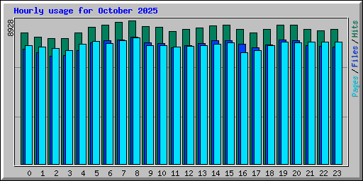 Hourly usage for October 2025