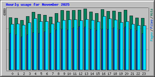 Hourly usage for November 2025