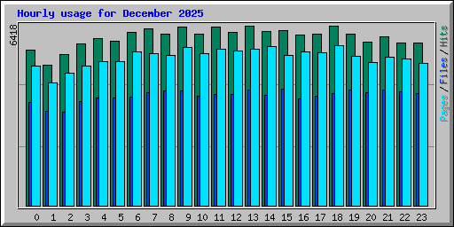 Hourly usage for December 2025