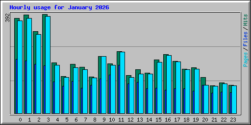 Hourly usage for January 2026