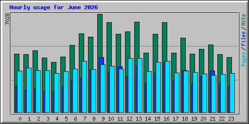 Hourly usage for June 2026